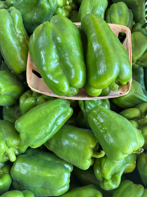 Poivron vert (400g)