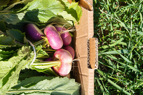 Présentation des produits de la ferme de Céleyran