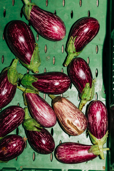 Aubergine striée (0,5kg)
