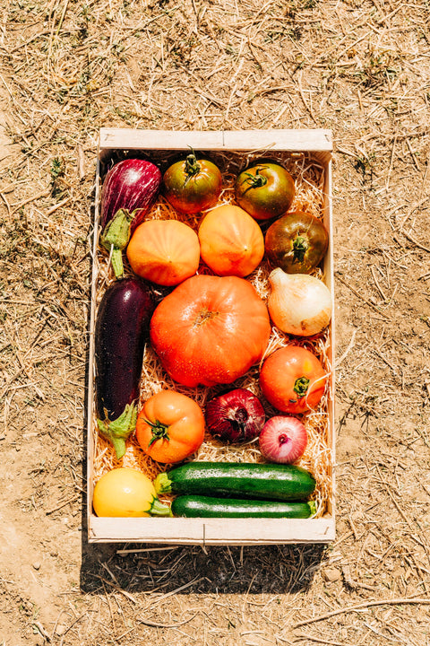 Panier mixte de légumes de la Ferme de Céleyran