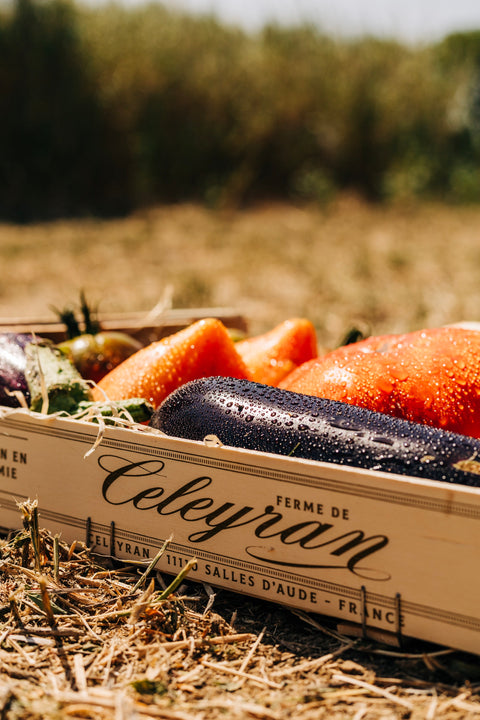 Panier mixte de légumes de la Ferme de Céleyran