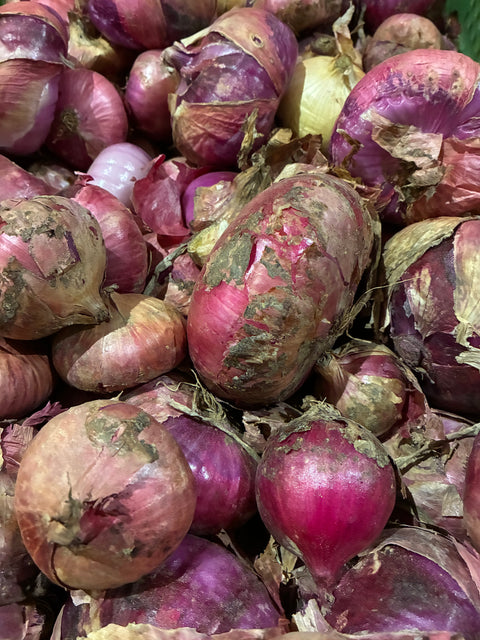 Oignon rouge doux de Toulouges (0.5kg)