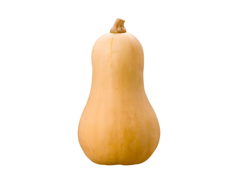 Courge Butternut Bio - Demeter